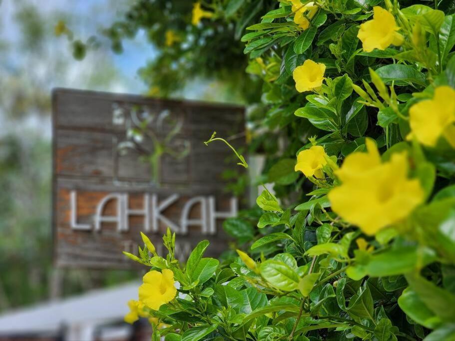 Appartement Amazing Jungle Retreat Lahkah Tulum Extérieur photo