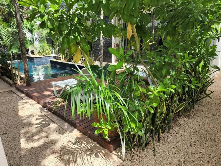 Appartement Amazing Jungle Retreat Lahkah Tulum Extérieur photo